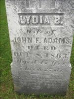 Adams, Lydia B.